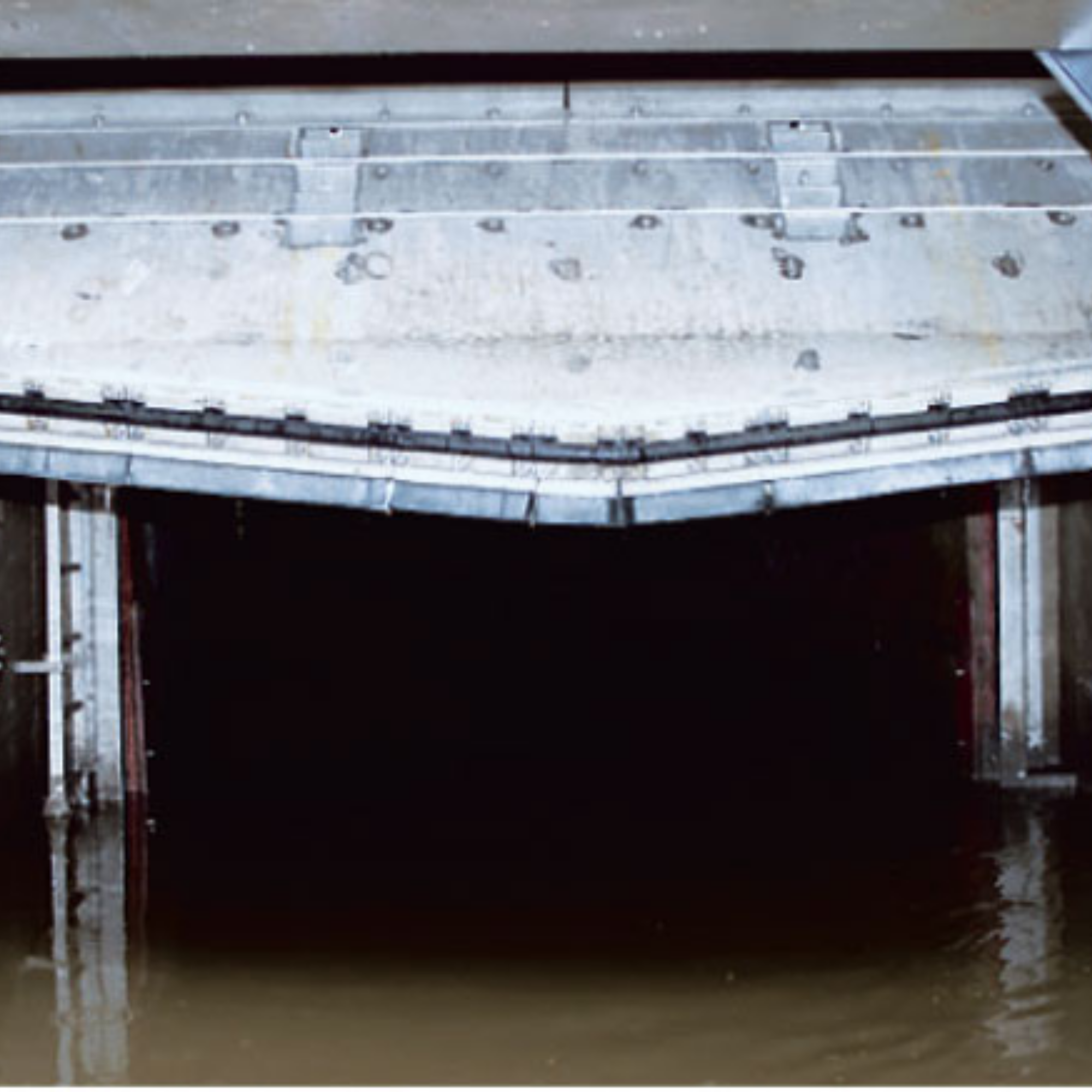 Steinhardt HydroGuard® Flushing and Impounding Protection