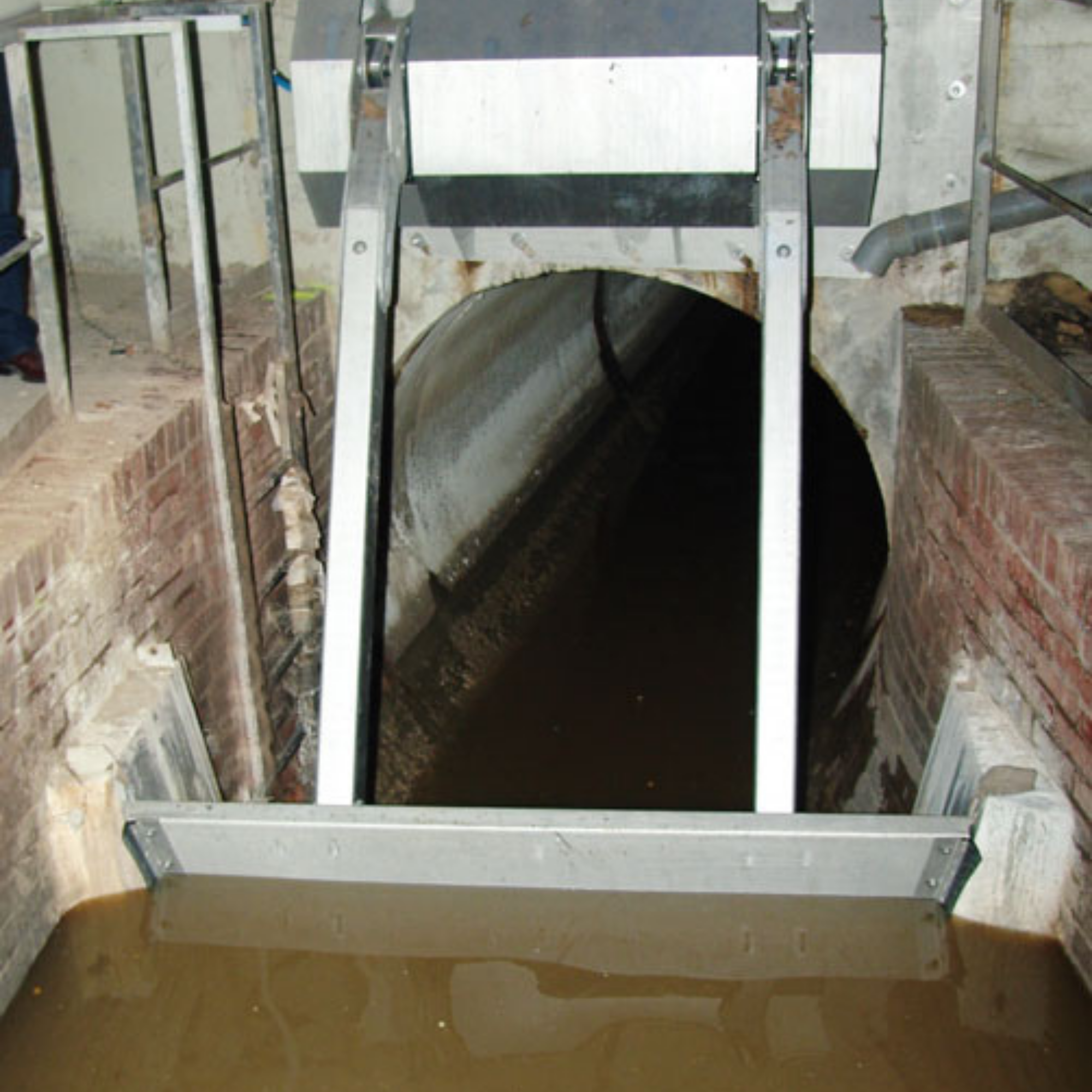 Steinhardt HydroGuard® Inverted Siphon Flush