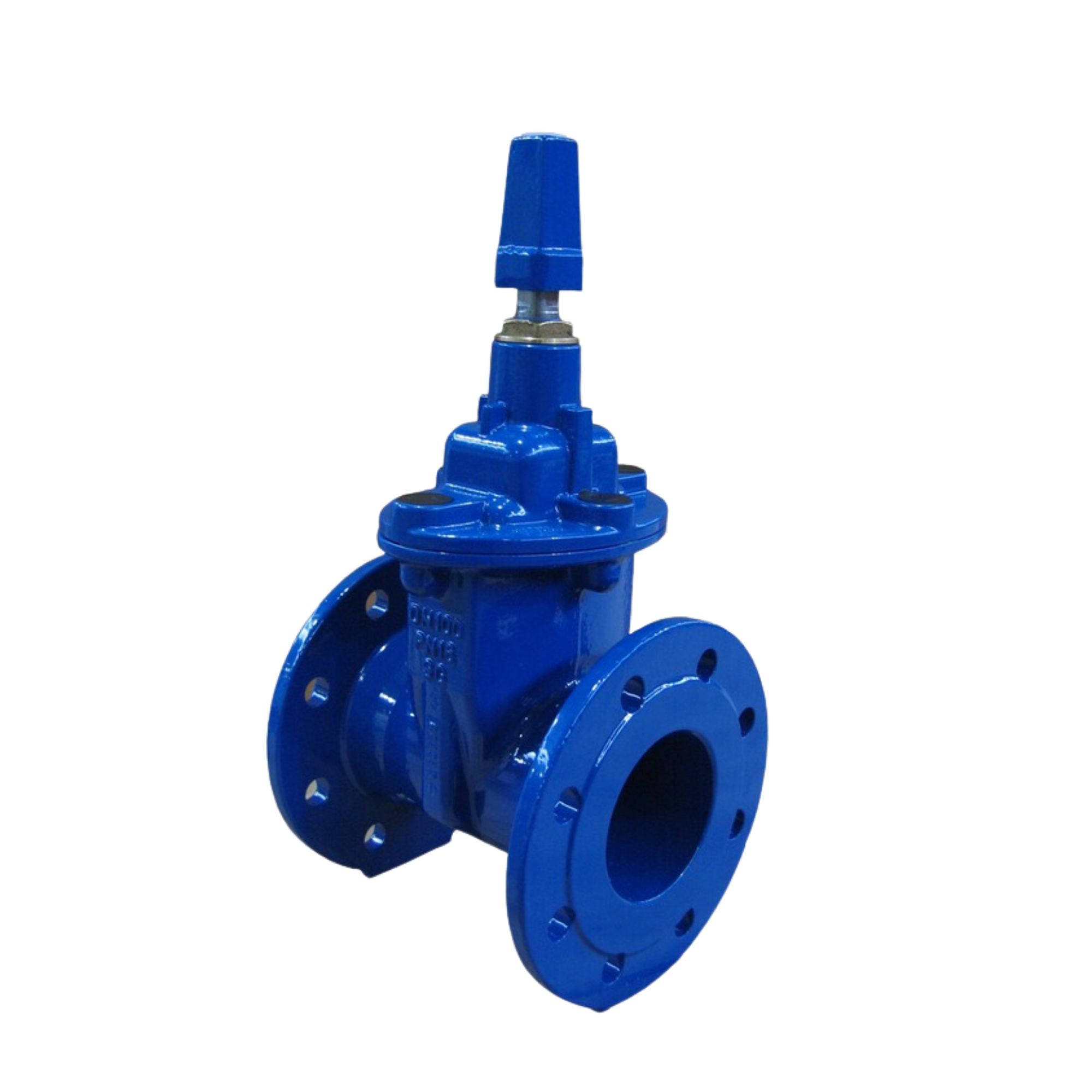 VAG EKO Plus Gate Valve
