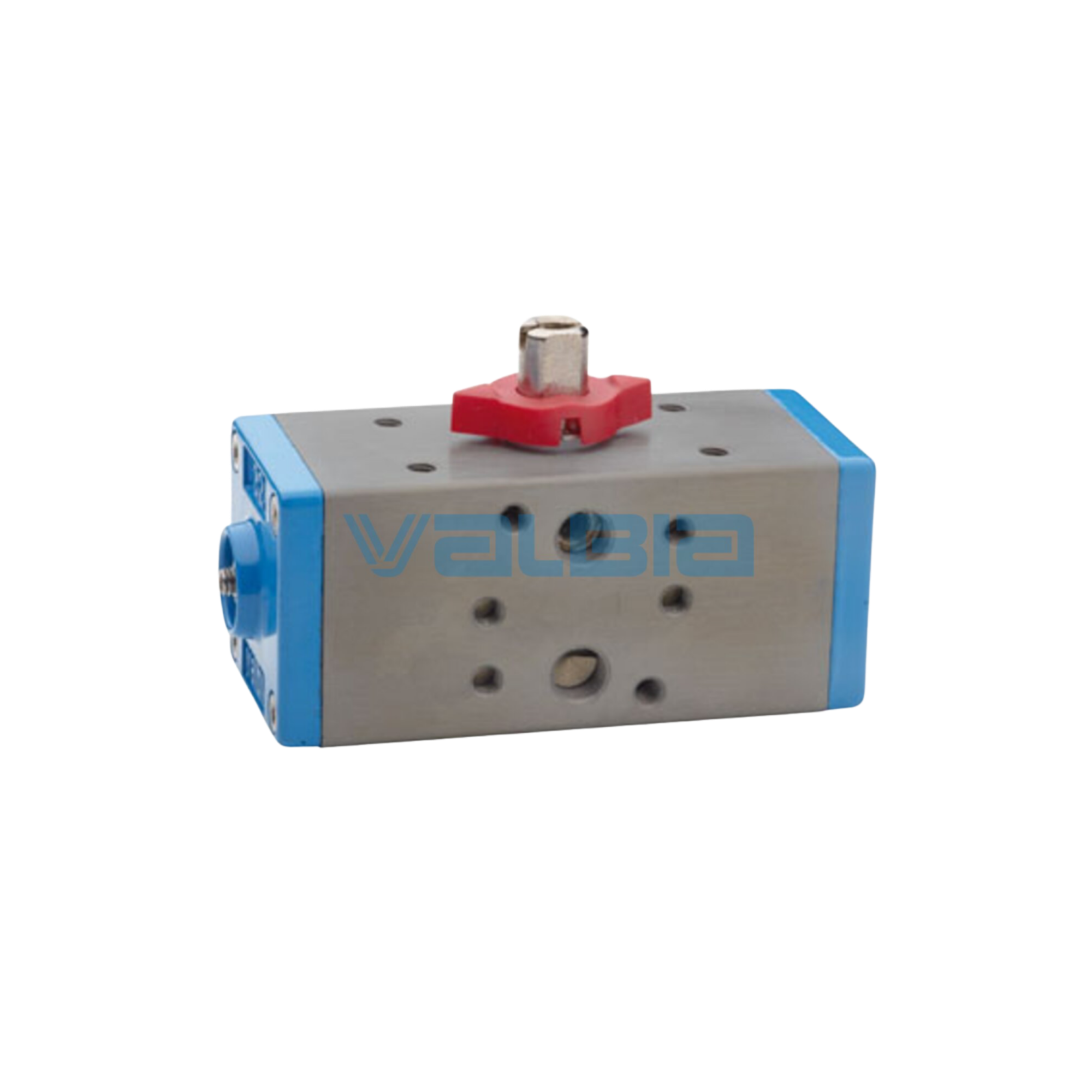Valbia Pneumatic Actuators