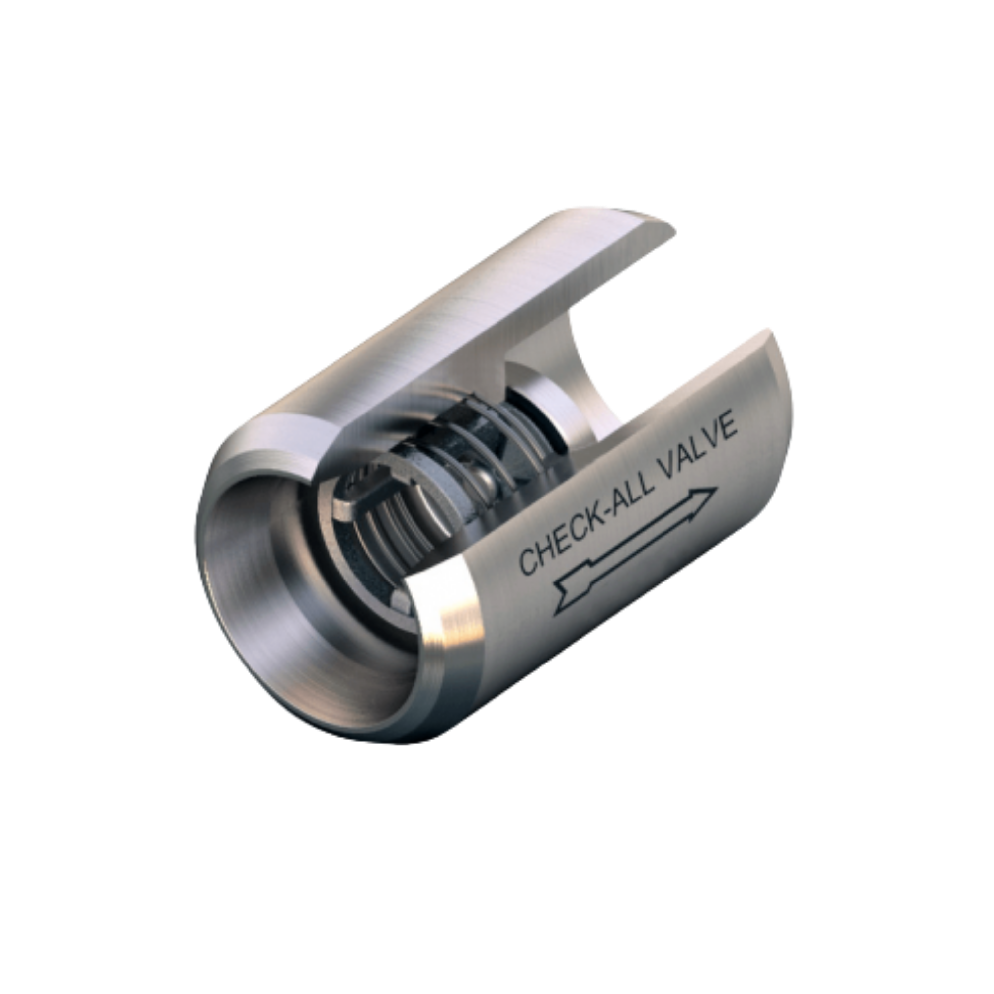 Check All Check Valves